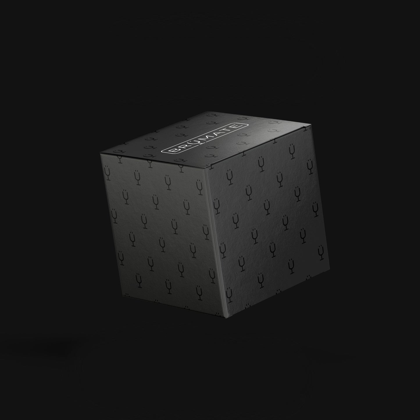 mystery-item-24-49-value-v8 Mystery-Box-FINAL.jpg